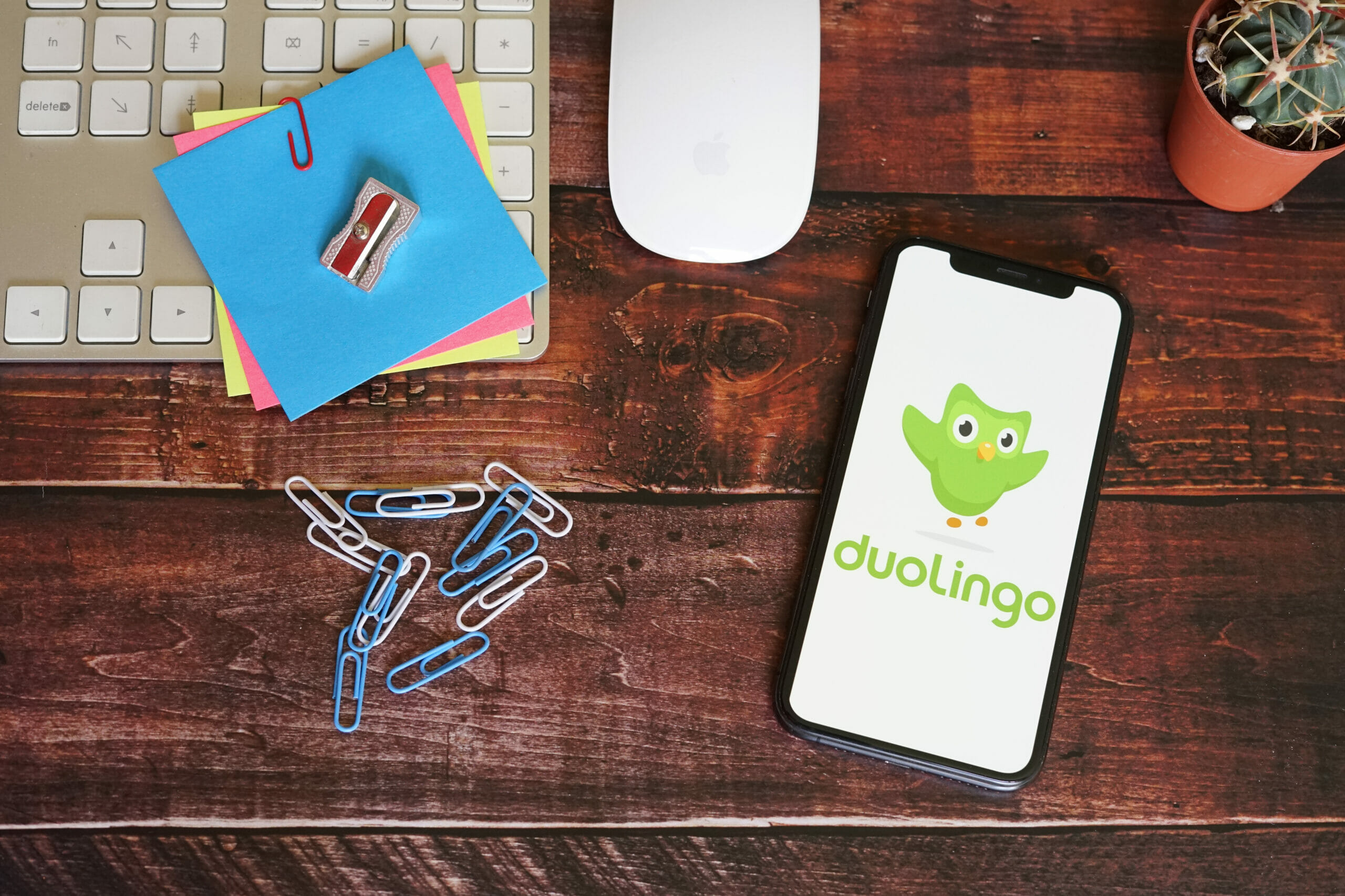 What B2B companies can learn from Duolingo's growth strategy